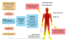 Body Temperature Normal Ranges How To Measure Cosinuss