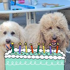 Terese Rose (@terese.rose.5) • Facebook, Connect with friends