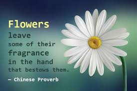 Maybe you would like to learn more about one of these? Kata Mutiara Bahasa Inggris Tentang Bunga Flower Dan Artinya