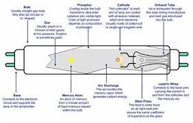 Components Of A Fluorescent Lamp Click To Enlarge Fluorescent Light Bulb Fluorescent Tube Light Fluorescent Light