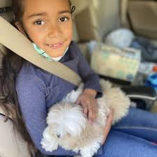 THE BEST 10 Puppies in Long Island, NY