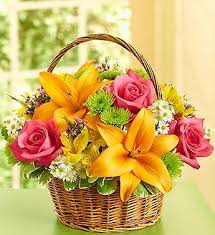 We did not find results for: Fresh Fields Of Europe Round Basket Arrangement In Nampa Id Flowers By My Michelle