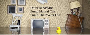 Check spelling or type a new query. Pump Marvel Where To Buy