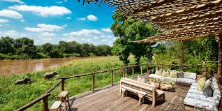 Check spelling or type a new query. Sabi Sands Experts Tell Us Why It Is So Good For Safari Aardvark Safaris