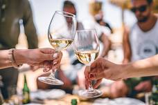 Wine club pick up event — Majestic Oak Vineyard