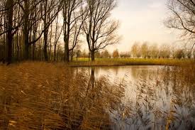 Natuurfoto Oost Groningen De Kolk In Oude Schans Groningen Natuurfoto S Landschap