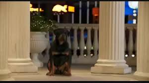 Hát még ha hozzávesszük, hogy nemcsak az elemekkel kell . Ferfi Allat Videa Melyik Disney Allat Vagy