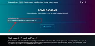 If You Want To Download Instagram Photos And Videos Then You Should Use Downloadgram Org It S Best Instagram Photo Instagram Instagram Video Instagram Tools