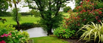 Landcentury allows you to search vacant land for less than $1,000 per acre. How Much Is Garden Land Worth Yopa Homeowners Hub