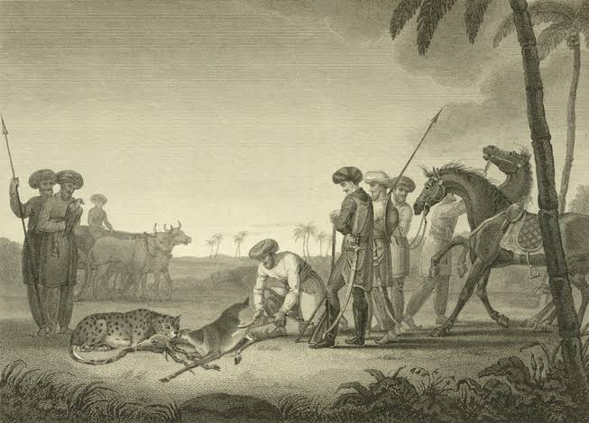 How to Trap a Cheetah (And Why You Shouldn't Have) | The India Forum