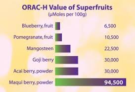 maqui berry philippines maqui berry juice patagonian