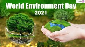 World environment day (wed) is an annual celebration that was commenced in 1974, and is observed on the 5th of june. Qga1dljlpe7ypm