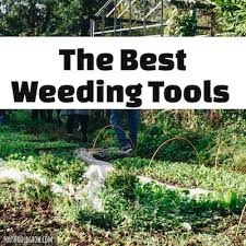 Best tool for weeding vegetable garden. The Best Long Handled Weeding Tools You Should Grow