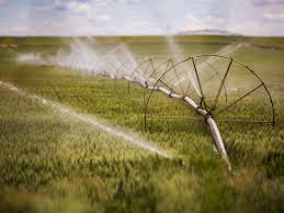 The snake river cut through ancient basalt lava flows, forming this canyon that extends for more than fifty miles and features two major waterfalls and countless springs. Irrigation Show To Feature New Products Services Southern Idaho Agriculture News Magicvalley Com