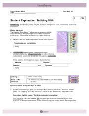 Building dna answer key vocabulary: Gizmo 4 Completed Building Dna Revised Doc Name Ameera Ismail Date Student Exploration Building Dna Inq 16 Com Vocabulary Double Helix Dna Enzyme Course Hero