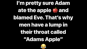 A big adam's apple means the guy has a deep voice. Adam And Eve Humor Quotes Me Quotes Love Quotes