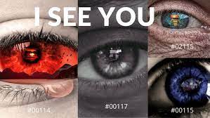 I See You Collection Nft In 2021 Photos Of Eyes Hatred See You