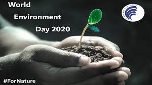 This year, the theme is 'biodiversity.' also read | world environment day: World Environment Day 2020 June 5th Eaap