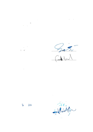 CHANGING FAMILY, CHANGING MEDIA: A COMPARATIVE ANALYSIS OF ADAPTATIONS OF  YAPRAK DÖKÜMÜFALLING LEAVES NUR ŞEYDA KOÇ İSTAN