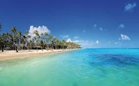 Resultado de imagem para punta cana