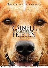 Cj, nepoata lui ethan și hannah. A Dog S Purpose Cainele AdevÄƒratul Meu Prieten 2017 Film Cinemagia Ro
