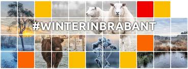 Omroep brabant is a broadcast radio station on the omroep brabant radio network from eindhoven, netherlands providing news, information, talks, live shows and entertainment. Kalrihdevqduvm