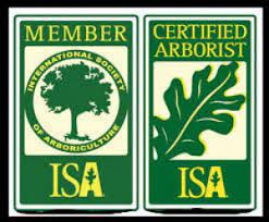 The tree service cost in gilbert varies depending on the type of service you want. Gilbert Tree Service Mesa Trees