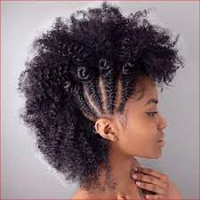 Superb Female Mohawk Hairstyles For Black Women New Natural Hairstyles Natural Hair Braids Braided Mohawk Hairstyles Natural Hair Styles