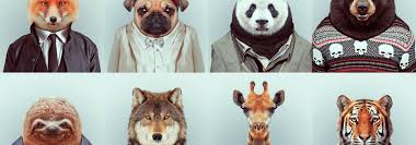 With a philosophy of smaller, slower and more simple, they produce minimal runs and made to accredited by ethical clothing australia, cue is also the largest local manufacturer of fashion in australia. Love Animals Then Quit Fast Fashion Dulce Salerno Monaco