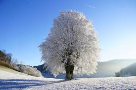 Stürmischer und winterlicher Dezember