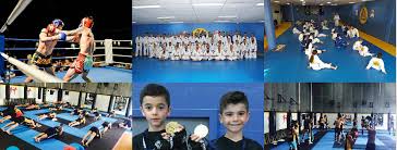 Sydney Martial Arts Martial Arts Brazilian Jiu Jitsu Martial Arts Training