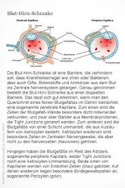 Sie ist eine barriere, die den freien stoffaustausch zwischen dem blut in den hirnkapillaren und der zerebrospinalen flüssigkeit verhindert und durch tight. Blut Hirn Schranke Doppelte Barriere Zwischen Blutkreislauf Und Zentralem Nervensystem Grafikerin Meike Uf Zentrales Nervensystem Blutkreislauf Nervensystem