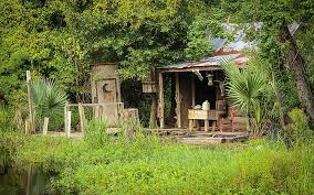 New orleans, louisiana, united states. Royalty Free Photo Green Grasses Pickpik