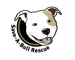 Northern lakes rescue is a 501(c)(3) foster home based rescue. Pet Project Rescue Minneapolis Mn Home Facebook