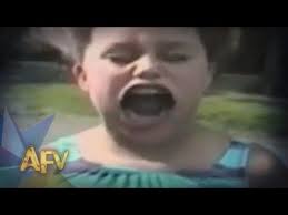 New America S Funniest Home Videos Part 798 Afv Clips Montage Compilation Afv Videoer Montage
