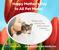 We did not find results for: Happy Mother S Day Dog Cat Moms Furbabies