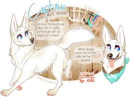 Commission Captain By Babywolverines Deviantart Com On Deviantart Dog Design Art Canine Art Cute Animal Drawings