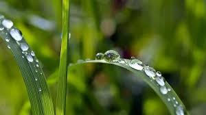 News source: 奇摩新聞