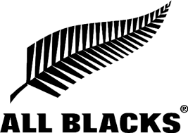 Image result for all blacks logo