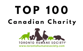 They are the lifeblood of our organization and the reason we are able to offer services to the hundreds of rescued animals who. News Events Toronto Humane Society