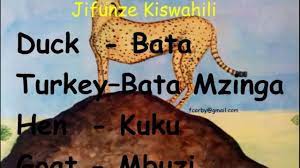 Leanr Swahili Names For Domestic Animals 2 In 2021 Swahili Names Swahili Animals