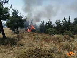 Στο σημείο επεμβαίνουν πέντε οχήματα της πυροσβεστικής. Twra Fwtia Sth 8essalonikh Seleo News