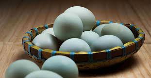Klik pada gambar thumbail untuk mengunduh gambar ukuran penuh. 5 Alasan Kenapa Telur Asin Selalu Memakai Telur Bebek