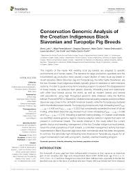 Pdf Conservation Genomic Analysis Of The Croatian Indigenous Black Slavonian And Turopolje Pig Breeds