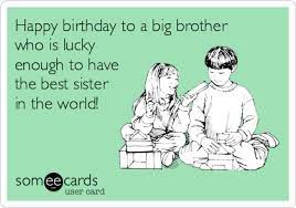 Someecards Com Happy Birthday Brother Funny Brother Birthday Quotes Happy Birthday Brother From Sister