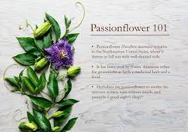Pin By Bonnie Barowy On Earthy Passion Flower Herbalism Medicinal Herbs
