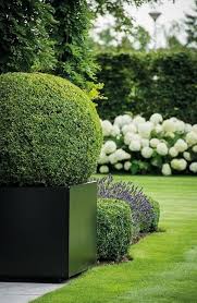 Klassischer Garten Von Homify Klassisch Homify Garten Hortensien Garten Garten Design