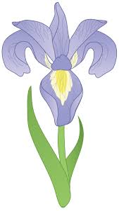 Free Free Iris Flower Svg 189 SVG PNG EPS DXF File