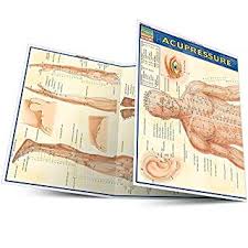 Acupressure Quick Study Academic Outline 1572228393