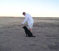 Professional Dog Trainers For Upland Birds And Waterfowl Hunting